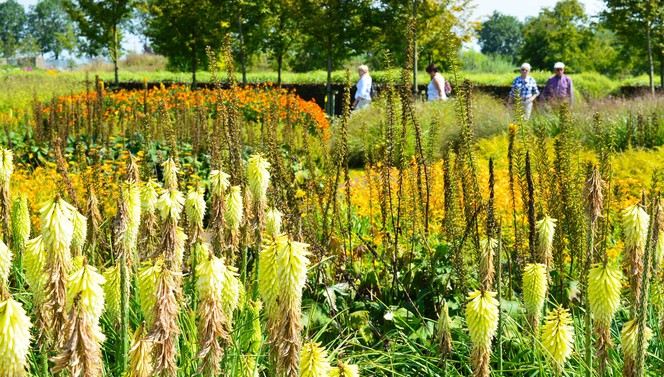 Les jardins d'Appeltern